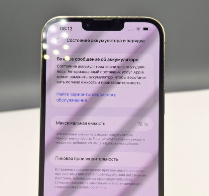 iPhone 13 Pro Max 1TB Gold 78%